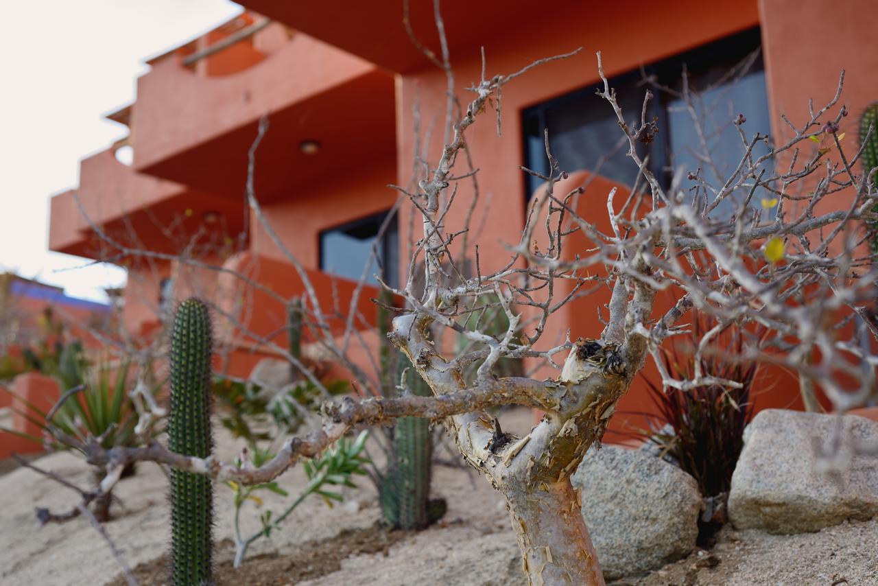 Cerritos Beach Hotel Desert Moon El Pescadero  Exterior photo